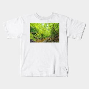 Gentle Stream Through the Woods Kids T-Shirt